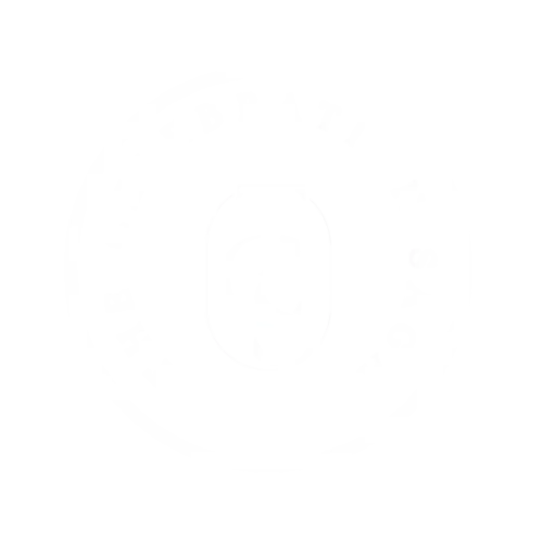 thecelebrationsaga.com
